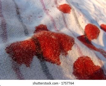 fake blood stained clothes|bloodstained clothes.